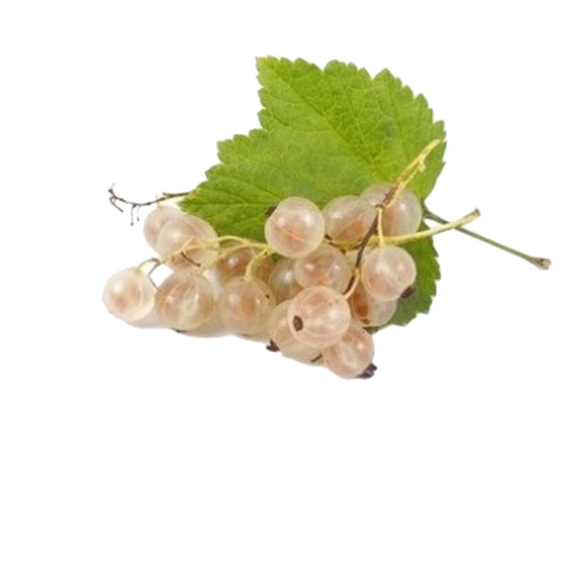 Порічки червоні та білі свіжі